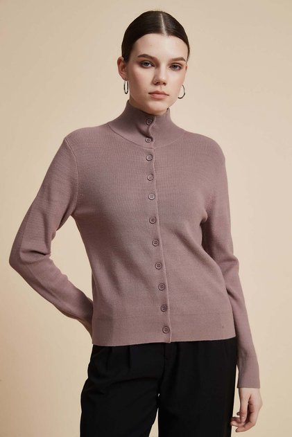 Plain Sweater with High Neck, Long Sleeves and Button Front