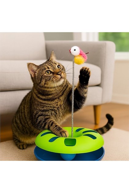 Cat Hoop Toy with Rattling Balls and Spring-Mounted Mouse Cat Entertainment Accessory Cat Play Hoop Colorful
