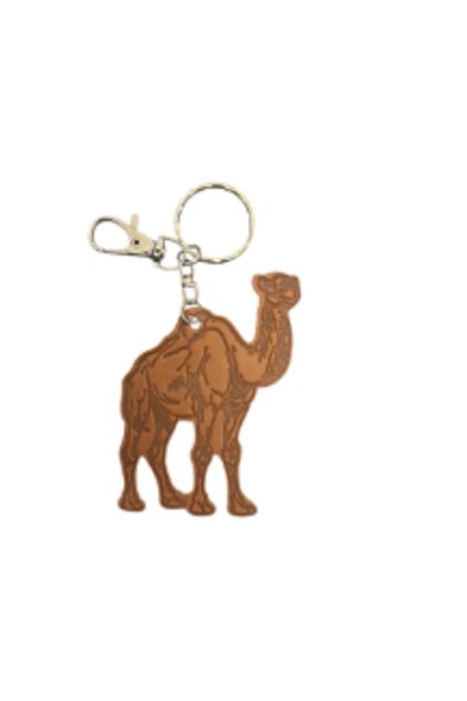 Gazwa Medal