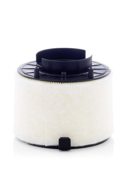 C 17 009 Filtru de aer
