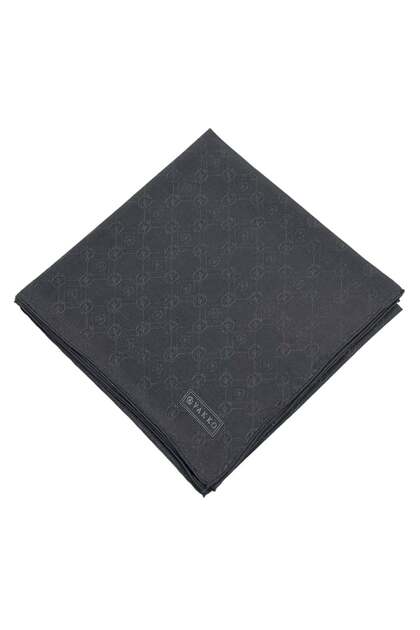Cotton Silk Scarf - New Hologram - Anthracite