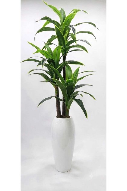 Beyaz Karbonfiber Damla saksıda 3'lü Yuka - 220 cm