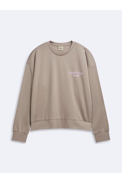 Regular Fit Letter Printed Crew Neck Beige Sweatshirt