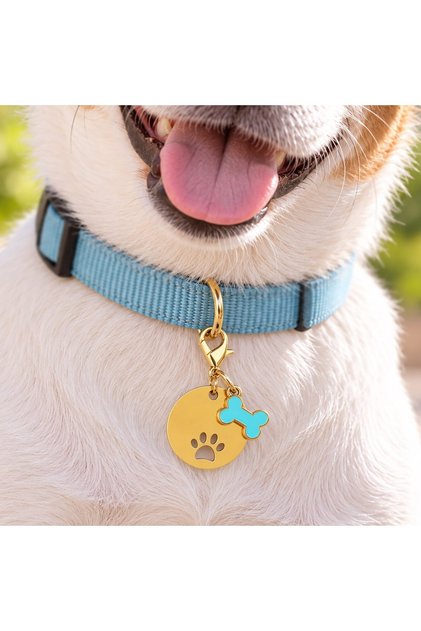 Charm zgarda rotund-bleu bone - Accesorii Bijuterii, Produse Pet Shop