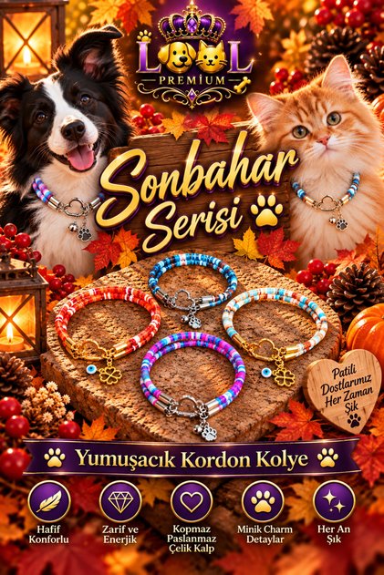 Kedi köpek tasması kedi kolye köpek kolye tasma