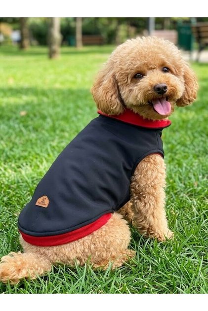 Köpek Kıyafeti Rüzgar Ve Su Geçirmez Premium Softjel Siyah Renk Kumaş İçi Kırmızı Renk Polar Astarlı Köpek Yeleği