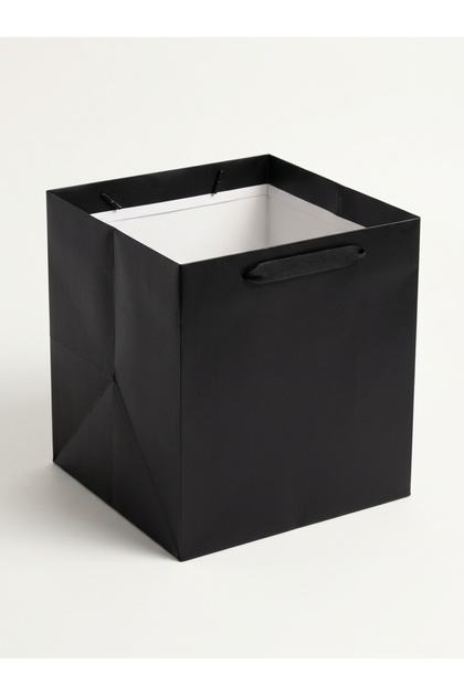 Premium Black Paper Gift Bag - 35X35X35 cm - Pack of 12 Units