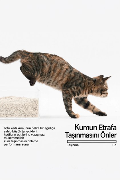 Tofu Kedi Kumu 2.4 kg