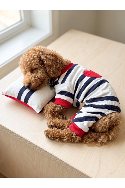 Mon Amour Çizgili Köpek Uyku Takımı | Pamuklu Penye Köpek Tulumu ve Mini Yastık | Küçük Irklar İçin | Tüy Dökülmesini Azaltır