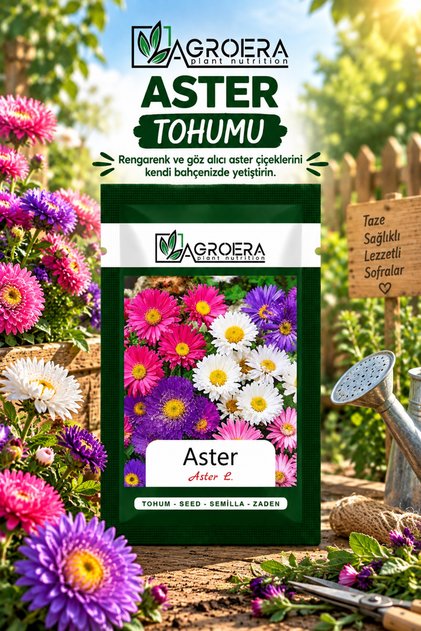Süs Bitkisi Aster Çiçek Tohumu 50 Adet