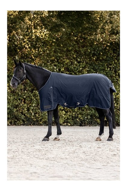 Arctic 50g Waterproof Outdoor Horse Cover