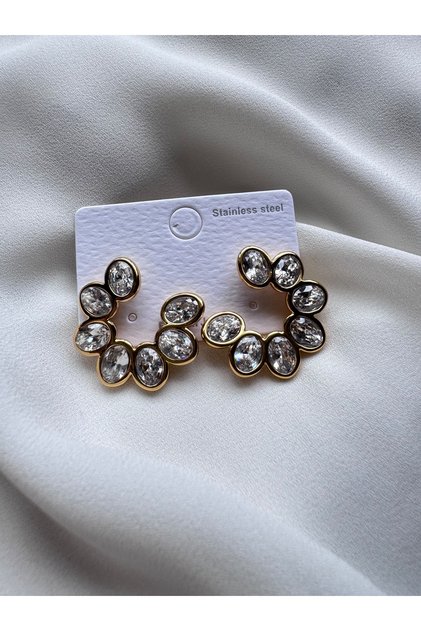 Stone Design Steel Earrings