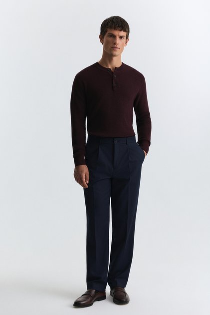 Regular Fit Pleated Trousers