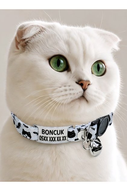 Güvenlik Kilitli (break away) Sallanmayan Gümüş Künyeli Kedi Tasması, isimli Kedi Tasması, Kedi isimlik, Kedi Etiket, Kedi Kimlik