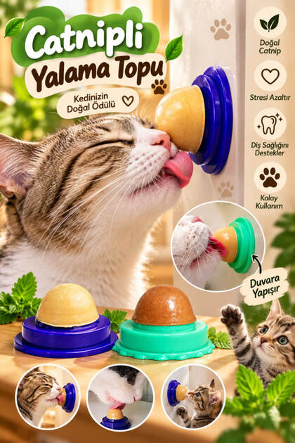 Kediler İçin Catnipli Yalama Topu Yapışkanlı Duvar Tipi Kedi Ödülü ve Oyuncağı