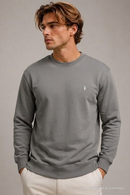 Reglan Casual Winter Gray Men's Sweatshirt