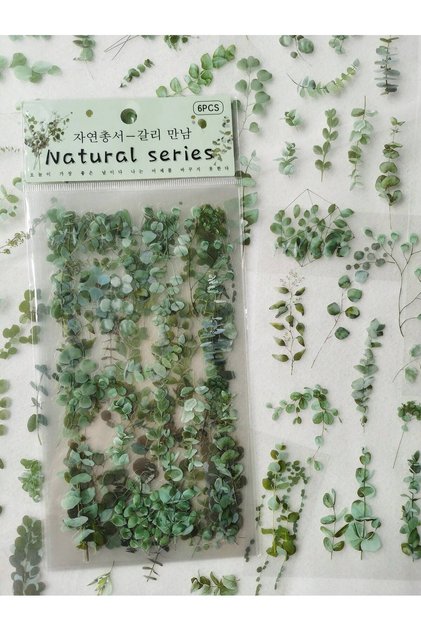 1pack Vintage Eucalyptus Plant & Flowers Pvc Waterproof Decorative Sticker (6pcs)