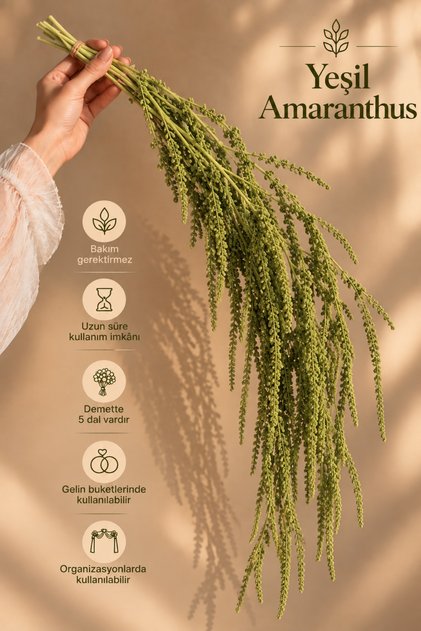 Yeşil Amaranthus Şoklanmış Kuru Çiçek – Dekoratif Sarkıt Çiçek 5 Dal
