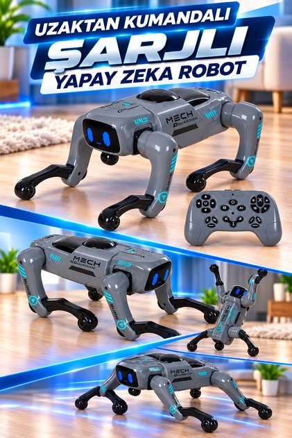 Uzaktan Kumandalı Şarjlı Yapay Zeka Robot – Gri, Sesli Komutlu, Programlanabilir, Dans Eden Akıllı Robot