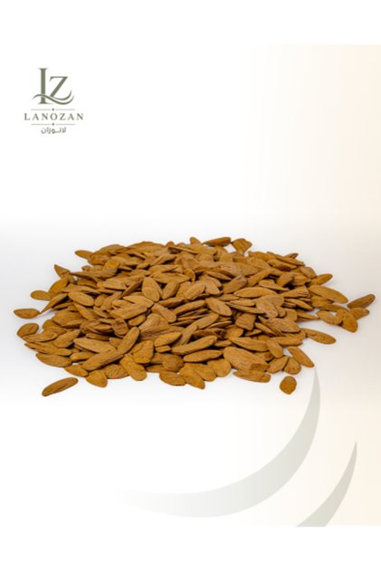 Oud Shell ثمن كيلو عود صدف فاخر