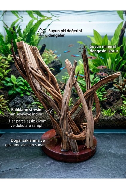 Flame Wood doğal dekor