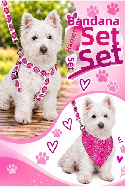 Adjustable Scarf, Chest Harness and Travel Strap Set of 3