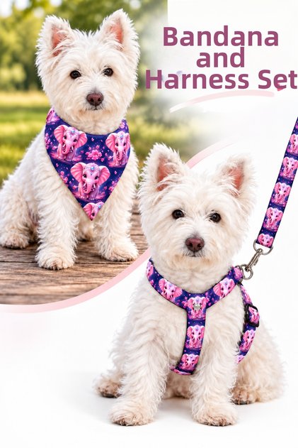 Adjustable Scarf, Chest Harness and Travel Strap Set of 3