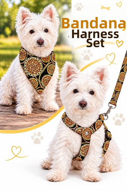 Adjustable Scarf, Chest Harness and Travel Strap Set of 3