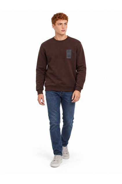 Regular Fit Men's Sweatshirt