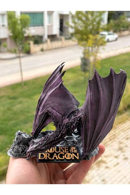 House Of The Dragon / Meleys