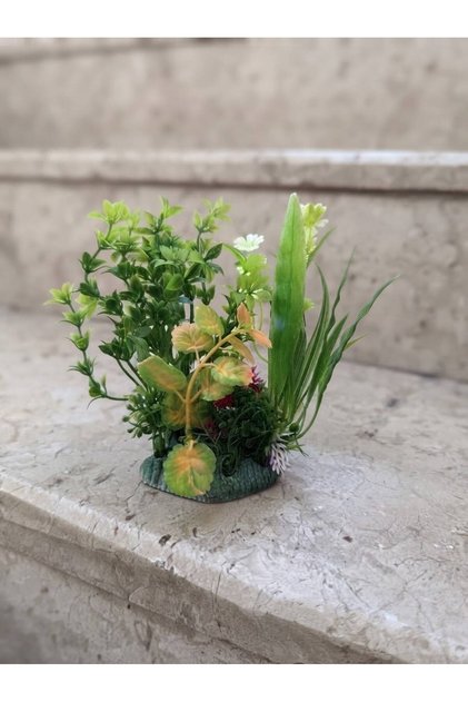 AKVARYUM BİTKİ ŞIK MODEL ( 10 cm )