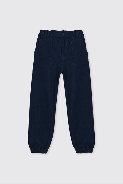 Boy's Velvet Indigo Trousers