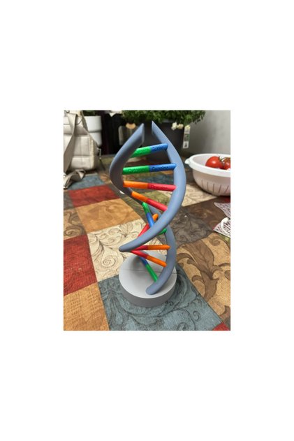 Çok Renkli DNA Sarmalı Modeli – 3D Genetik ve Biyoloji Eğitim Modeli