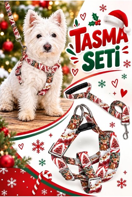 Christmas Series Dog Collar and Walking Leash Set