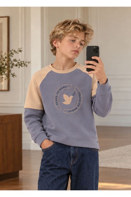 Organic 2 Color Raglan Sleeve Printed Spring Boy's Sweatshirt