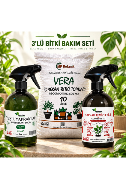 İç Mekan Bitkileri Yaşam Seti - 3 Lü Vera Serisi