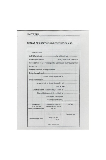Raport de cheltuieli pentru costurile înregistrate A5