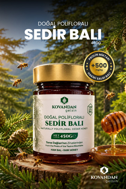 %100 Doğal Ham Sedir Balı 450 g - Katkısız Hakiki Katran Ağacı Isıl İşlemsiz Süzme Bal