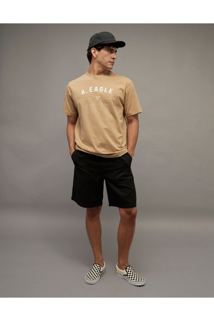 AE Icon Logo Graphic T-Shirt
