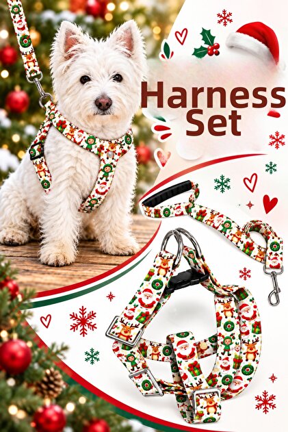 Christmas Series Dog Collar and Walking Leash Set