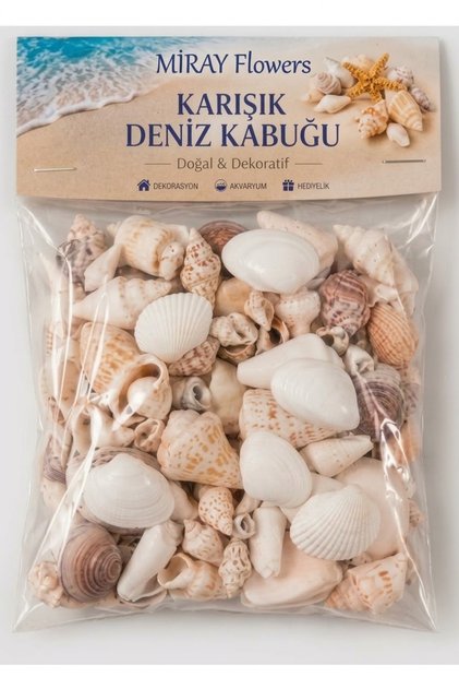 Karışık gerçek Deniz Kabukları 100 Gr