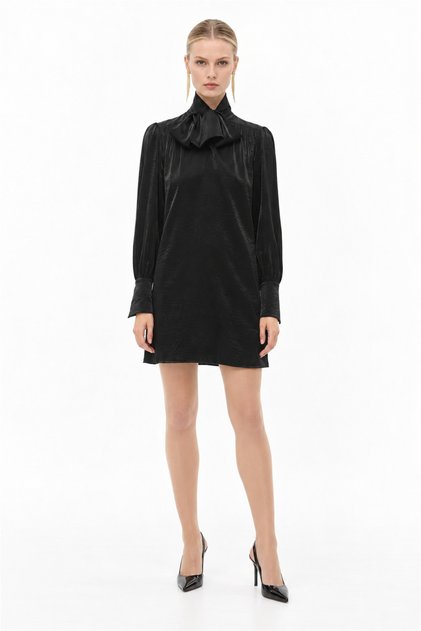 Tie Neck Long Sleeve Mini Dress