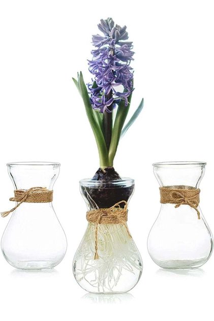 Small Glass Vase for Flowers - 3 Pcs Clear Small Vases for Table Decorations Centrepiece, Bud Vase
