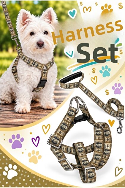 Dolars Dog Chest Harness and Walking Strap Set
