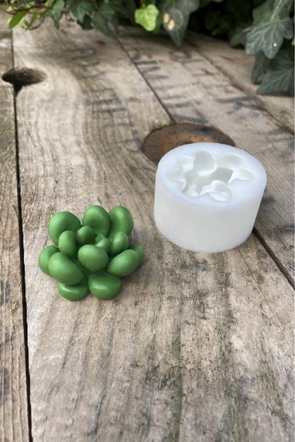 Moonstone Kaktüs Silikon Mum Kalıbı
