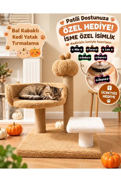 Kedi Tırmalama Tahtası |Kedi Evi | Kedi Yatağı | Bal Kabaklı | Konforlu Dinlenme | Evcil Hayvan