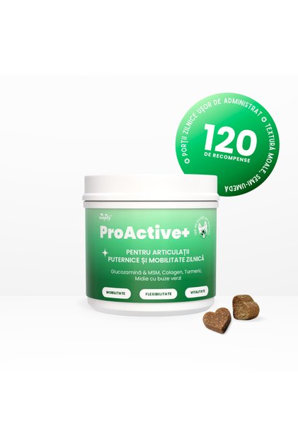 ProActive+ Woofy Lab – Supliment Articulații Câini cu Glucozamină, Colagen și MSM, 120 Recompense