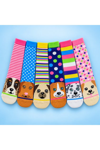 Hn Socks Cute Dog Patterned Unisex Colorful Socks Set of 5 Gift Boxed