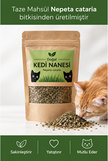 Catnip orijinal Kedi Nanesi İthal Kedi otu Kedi Nanesi