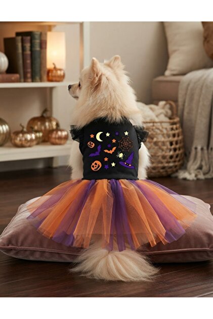 Kedi Köpek Halloween Cadılar Bayramı Özel Elbise